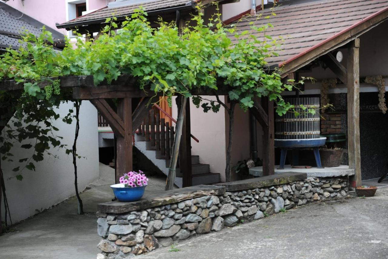 Wellness B&B Winery Sontacchi Kutjevo Екстер'єр фото
