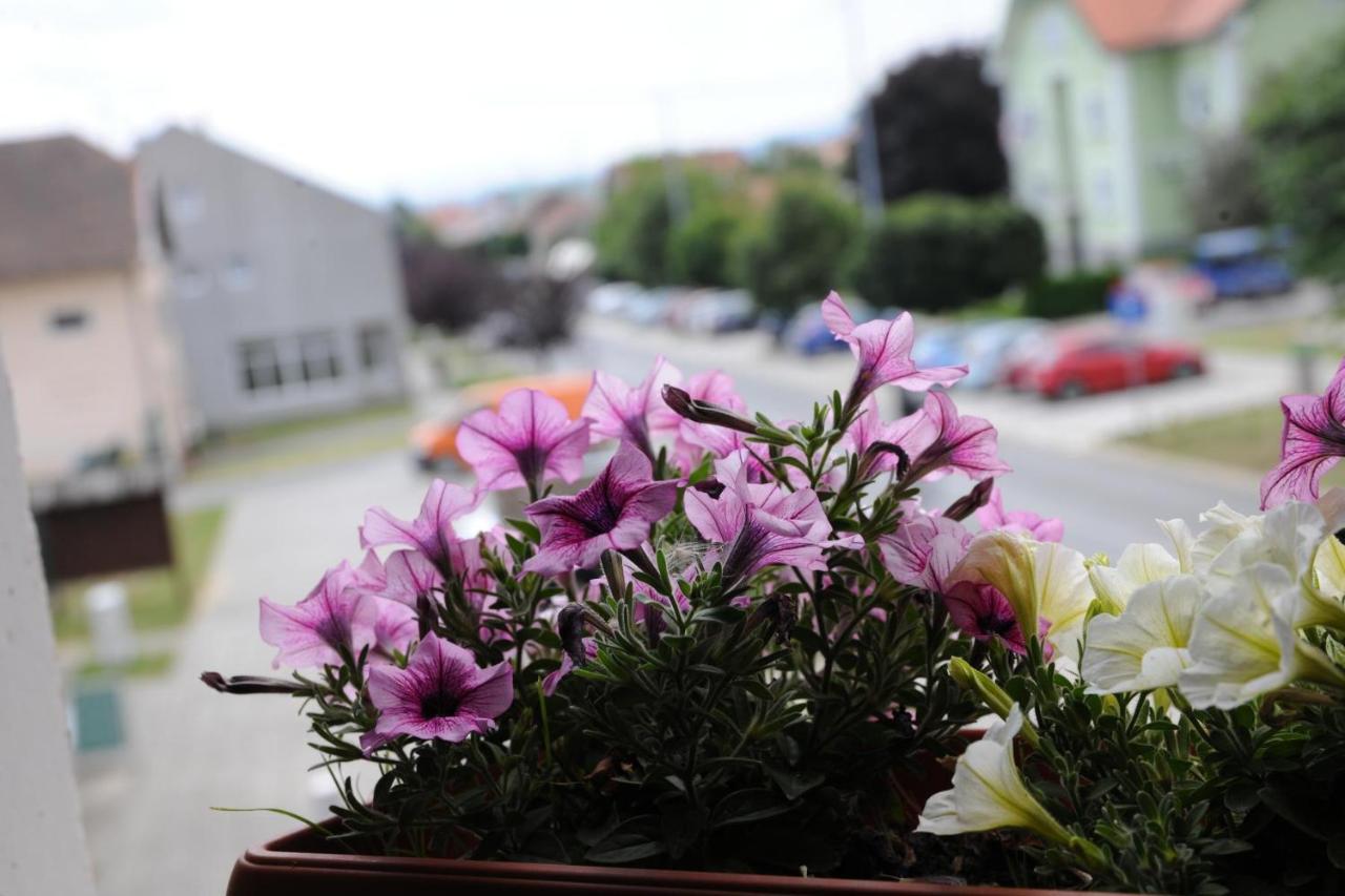 Wellness B&B Winery Sontacchi Kutjevo Екстер'єр фото